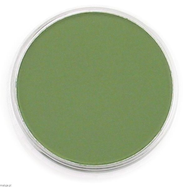 PanPastel Chromium Oxide Green 9ml