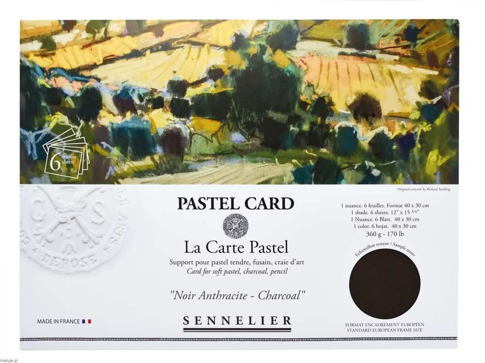 Sennelier Pastel Card "Charcoal" 360g 6 ark. - blok do pasteli