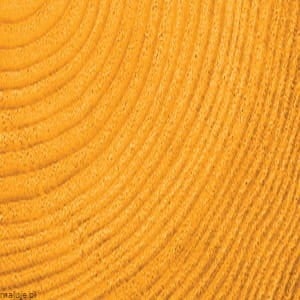 Jacquard Basic Dye GOLDEN YELLOW #003 - barwnik uniwersalny do materiałów trudnych do farbowania