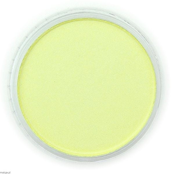 PanPastel Pearlescent Yellow 9ml