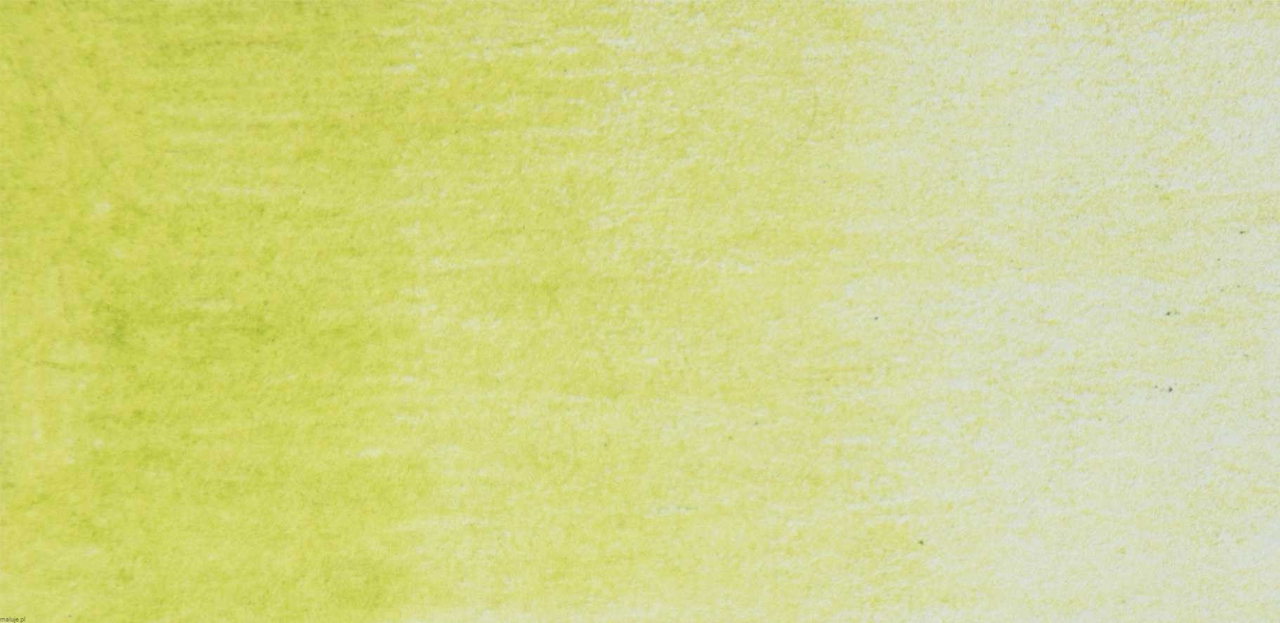 DERWENT kredka Coloursoft C460 Lime Green