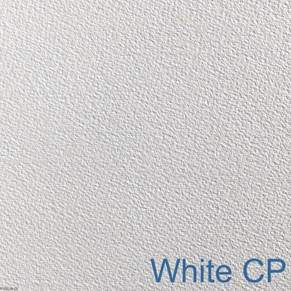 SAUNDERS WATERFORD White 300gsm. CP NOT (średni) 560x760mm Papier Akwarelowy