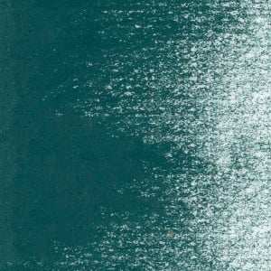 Kredka Caran d'Ache Luminance DARK SAP GREEN 739