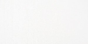 Talens Rembrandt Pastele suche WHITE 5