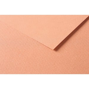 Clairefontaine Tulipe A4 160g Rust - karton craft