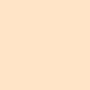 Touch Twin Marker YR26 - Pastel Peach