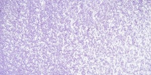 PASTELE OLEJNE SENNELIER 217 Cobalt violet light