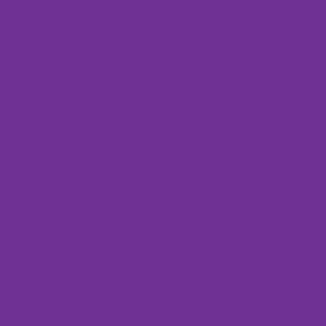 Touch Refill Ink P81 Deep Violet - tusz alkoholowy 20ml