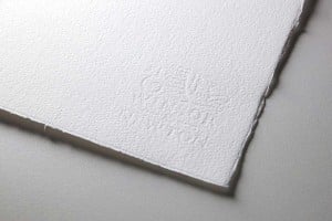W&N Water Colour Paper 25% Cotton 300gsm CP 56x76cm - papier akwarelowy arkusz