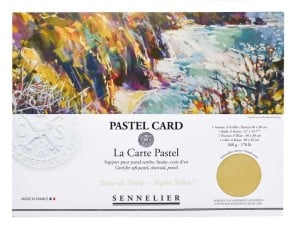 Sennelier Pastel Card "Napes Yellow" 360g 6 ark. - blok do pasteli