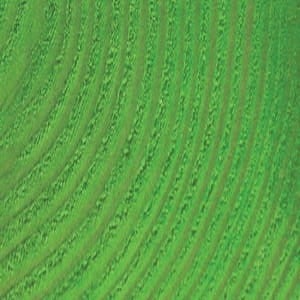 Jacquard Basic Dye GREEN #021 - barwnik uniwersalny do materiałów trudnych do farbowania
