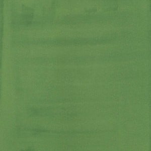 Liquitex Professional Acrylic Ink 224 Hooker's Green Hue - tusz akrylowy