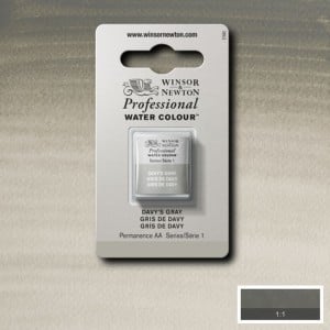217 Davy's Gray, akwarela Professional W&N