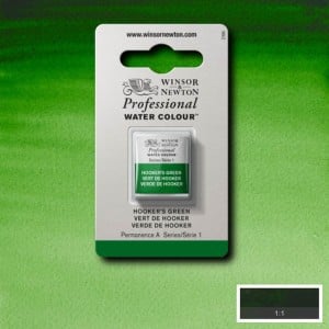 311 Hooker's Green, akwarela Professional W&N