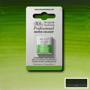 W&N akwarela Professional Permanent Sap Green
