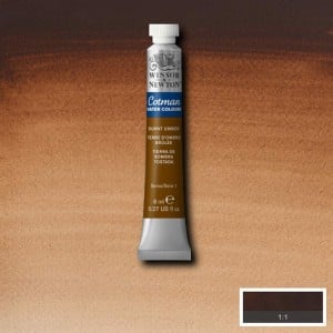 076 Burnt Umber, akwarela Cotman W&N