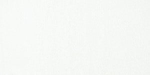 Talens Rembrandt Pastele suche WHITE SUPER SOFT 5