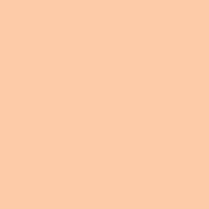 Touch Twin Brush Marker YR25 - Salmon Pink