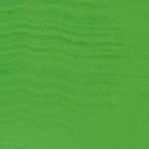 25 Zieleń Pawła Weroneza, farba akrylowa COLOURS Renesans