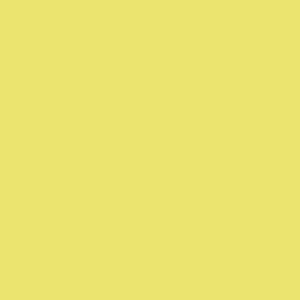 Touch Twin Marker Y49 - Pastel Green