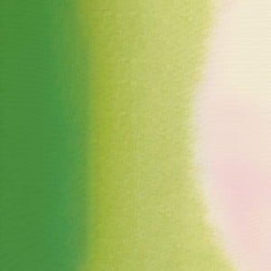 532 YELLOW GREEN, akwarela Mission Gold MIJELLO