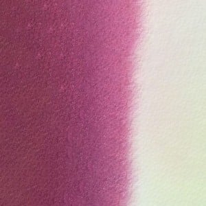 552 RED VIOLET, akwarela Mission Gold MIJELLO
