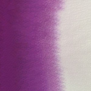 557 BRIGHT VIOLET, akwarela Mission Gold MIJELLO