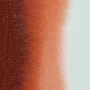 565 RED BROWN, akwarela Mission Gold MIJELLO