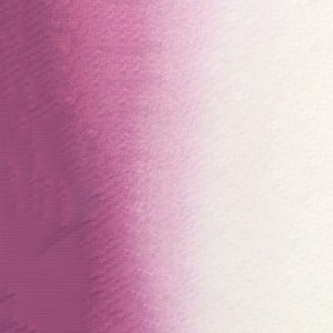 591 VIOLET GREY, akwarela Mission Gold MIJELLO