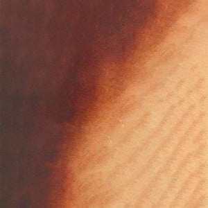 629 DARK BURNT SIENNA, akwarela Mission Gold MIJELLO