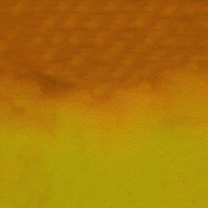 804 Rudbeckia Yellow, akwarela Mission Tourmaline Two-tone Granulation MIJELLO