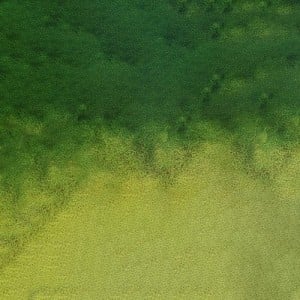 831 Fade Green, akwarela Mission Tourmaline Two-tone Granulation MIJELLO