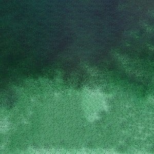 835 Pine Green, akwarela Mission Tourmaline Two-tone Granulation MIJELLO