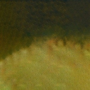 838 Green Ochre, akwarela Mission Tourmaline Two-tone Granulation MIJELLO