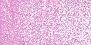 PASTELE OLEJNE SENNELIER 095 Cobal violet light hu