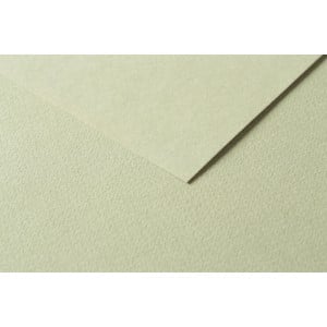 Clairefontaine Tulipe A4 160g Light green - karton craft