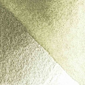 Kredka Caran d'Ache Museum Aquarelle BROWN OLIVE 50% 736