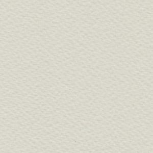 BOCKINGFORD Gray 300gsm. CP NOT (średni) 560x760mm Papier Akwarelowy