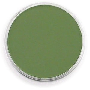 PanPastel Chromium Oxide Green Shade 9ml