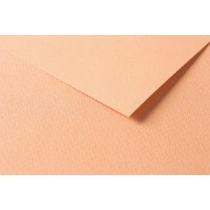 Clairefontaine Tulipe A4 160g Salmon - karton craft