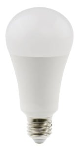 Żarówka energooszczędna Daylight LED 15W