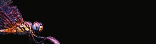 105806_48523
