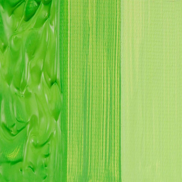 66203_21871