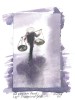 51832_14530
