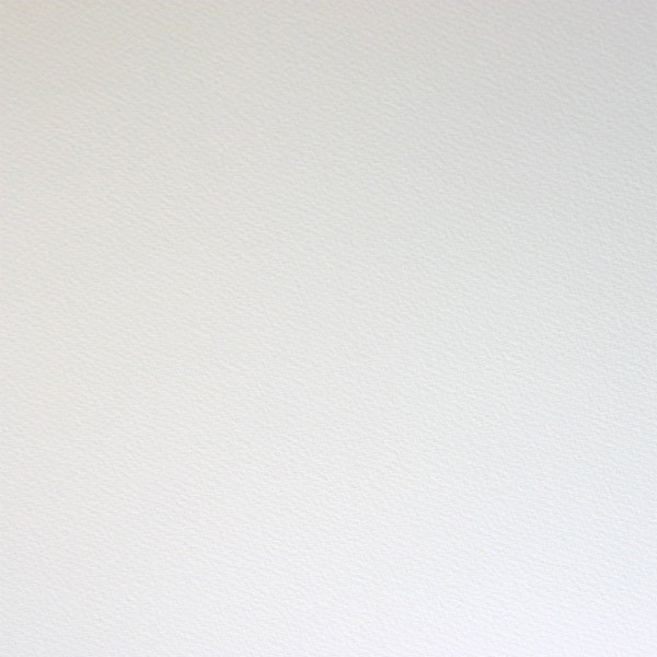 56208_14881