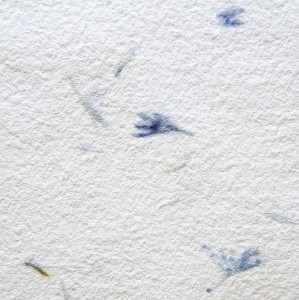 50957_16666