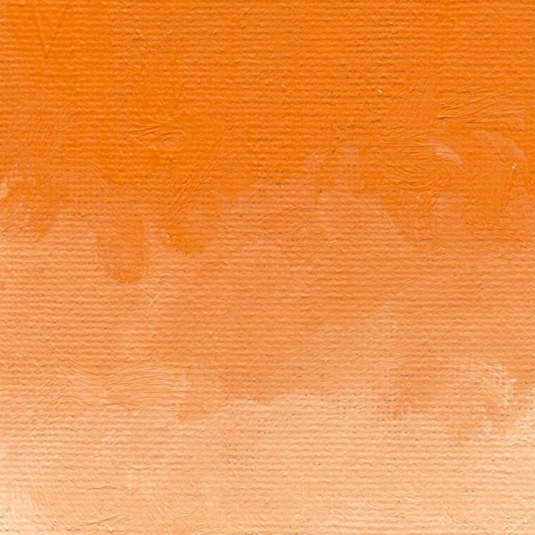52817_19852