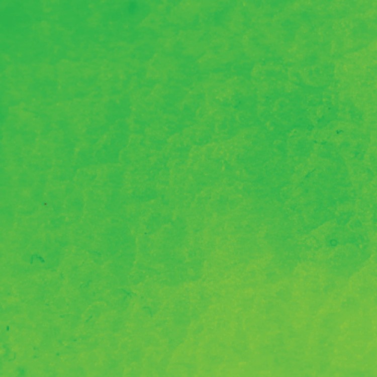 88717_32682