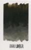 53301_11704
