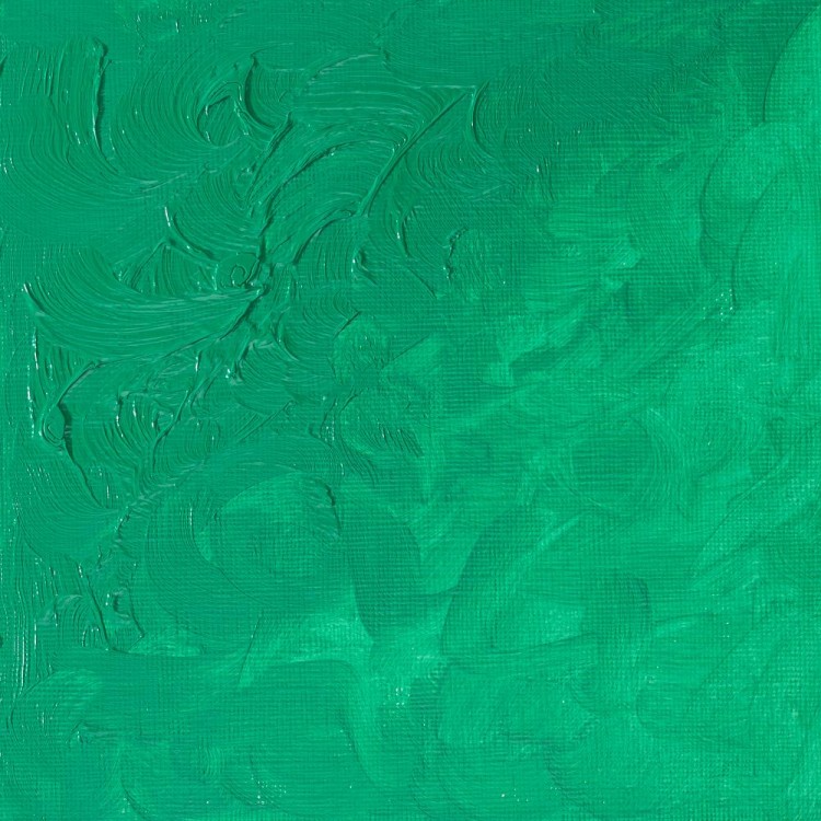 12897_16831